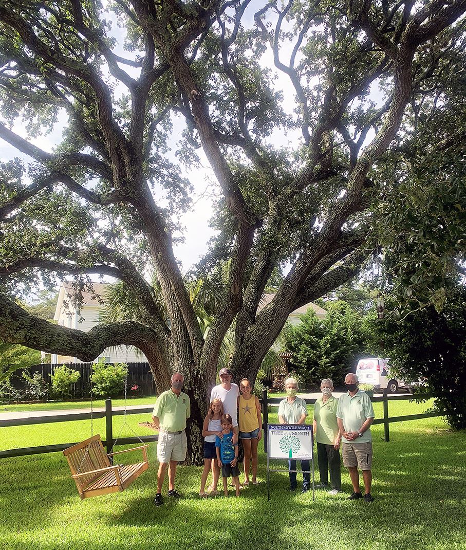 November 2020 - 3 Resized