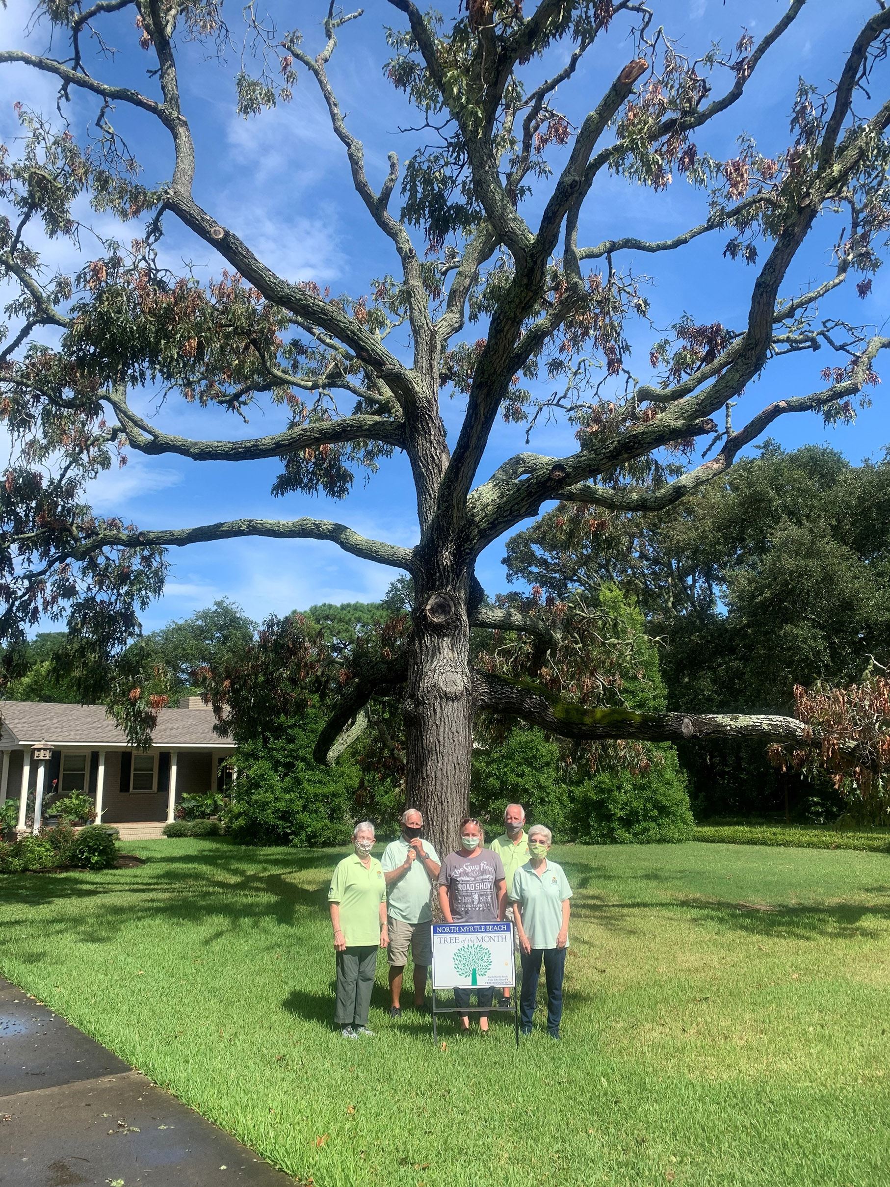 October 2020 - Reduced